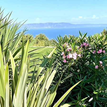 Luxury Panorama Vila With Amazing Seaview In Gondolici 7 Km From Rabac Labin  Exteriör bild