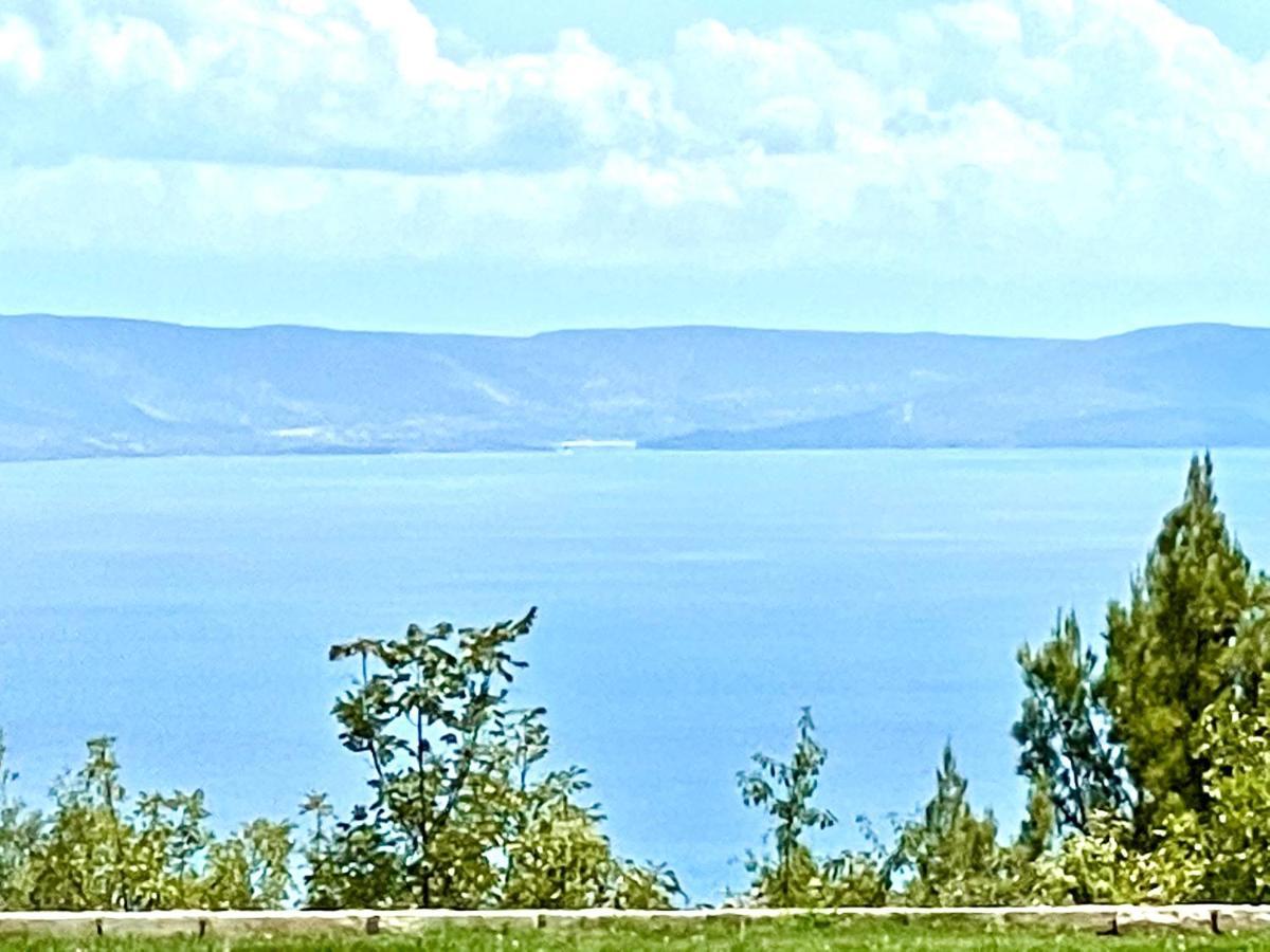 Luxury Panorama Vila With Amazing Seaview In Gondolici 7 Km From Rabac Labin  Exteriör bild